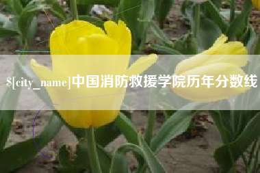 宜昌中国消防救援学院历年分数线