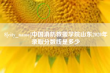 宜昌中国消防救援学院山东2020年录取分数线是多少