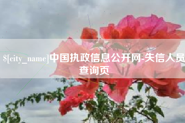 宜昌中国执政信息公开网-失信人员查询页
