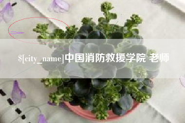 宜昌中国消防救援学院 老师