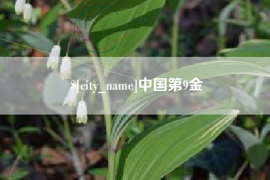 宜昌中国第9金