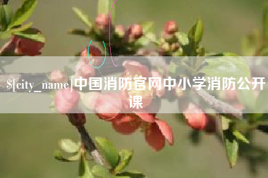 宜昌中国消防官网中小学消防公开课