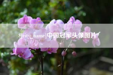 宜昌中国冠军头像图片