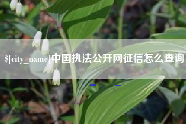 宜昌中国执法公开网征信怎么查询