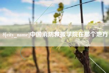 宜昌中国消防救援学院在那个地方