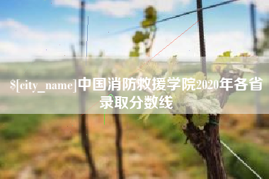 宜昌中国消防救援学院2020年各省录取分数线