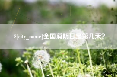 宜昌全国消防日是第几天？