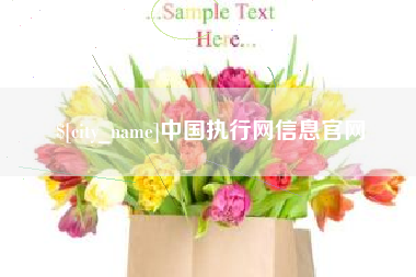 宜昌中国执行网信息官网