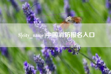 宜昌中国消防报名入口