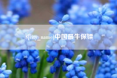 宜昌中国最牛保镖