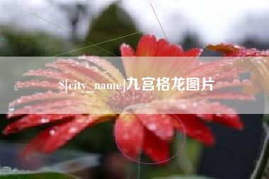 宜昌九宫格龙图片