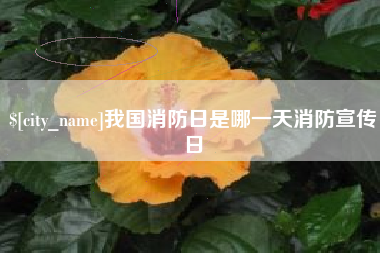 宜昌我国消防日是哪一天消防宣传日
