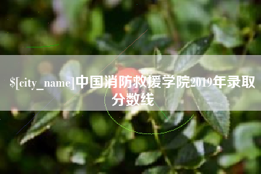 宜昌中国消防救援学院2019年录取分数线