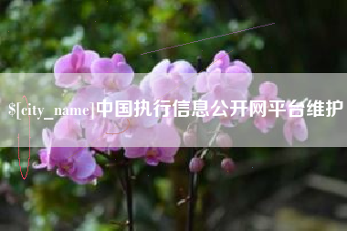 宜昌中国执行信息公开网平台维护