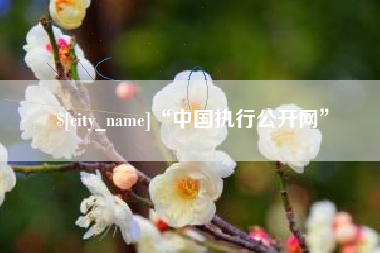 宜昌“中国执行公开网”
