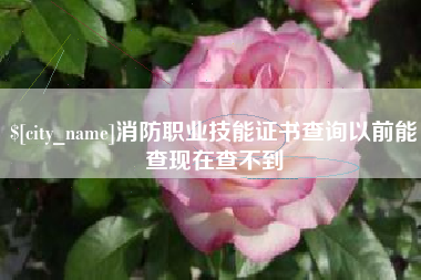 宜昌消防职业技能证书查询以前能查现在查不到