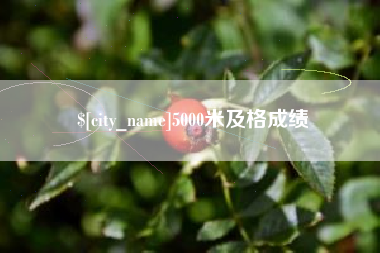 宜昌5000米及格成绩