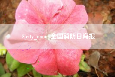 宜昌全国消防日海报