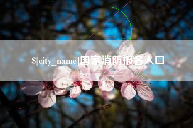 宜昌国家消防报名入口