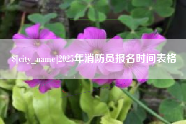 宜昌2025年消防员报名时间表格