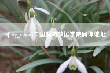 宜昌中国消防救援学院具体地址