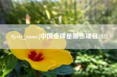 宜昌中国金牌是哪些项目2021