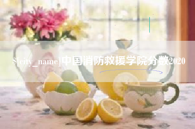 宜昌中国消防救援学院分数2020