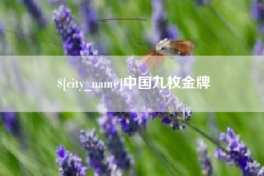 宜昌中国九枚金牌