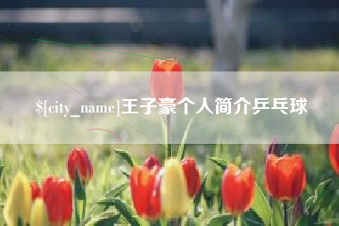宜昌王子豪个人简介乒乓球