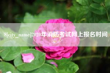 宜昌2020年消防考试网上报名时间