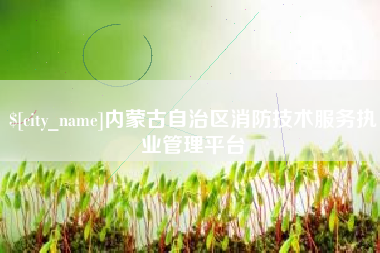 宜昌内蒙古自治区消防技术服务执业管理平台