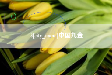 宜昌中国九金
