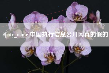 宜昌中国执行信息公开网真的假的