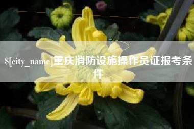 宜昌重庆消防设施操作员证报考条件