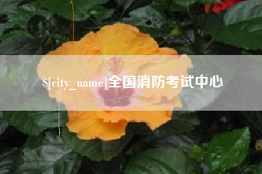 宜昌全国消防考试中心
