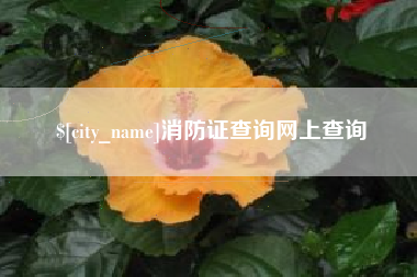宜昌消防证查询网上查询