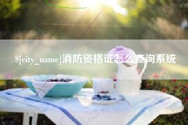 宜昌消防资格证怎么查询系统