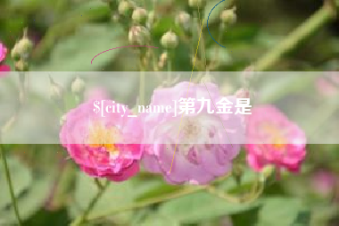 宜昌第九金是