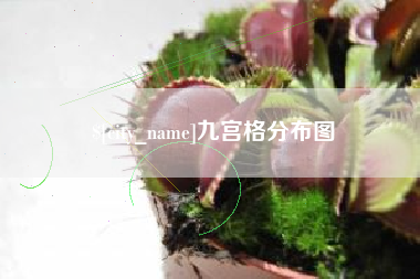 宜昌九宫格分布图
