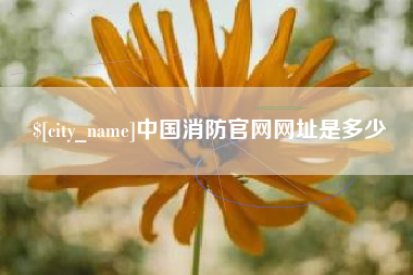 宜昌中国消防官网网址是多少