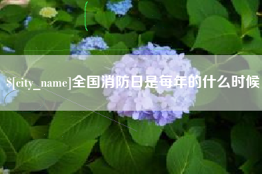 宜昌全国消防日是每年的什么时候