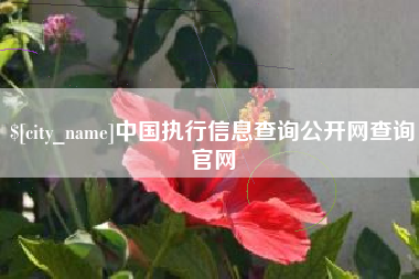 宜昌中国执行信息查询公开网查询官网