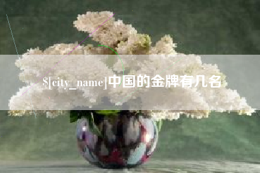宜昌中国的金牌有几名