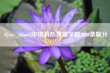 宜昌中国消防救援学院2020录取分
