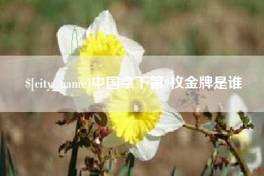 宜昌中国拿下第9枚金牌是谁