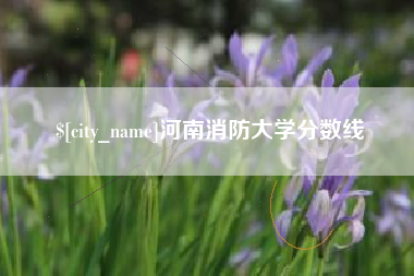 宜昌河南消防大学分数线