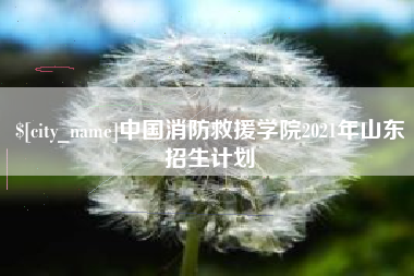 宜昌中国消防救援学院2021年山东招生计划
