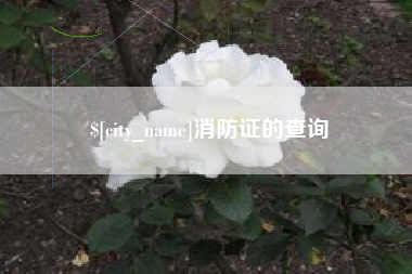 宜昌消防证的查询