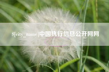 宜昌中国执行信息公开网网