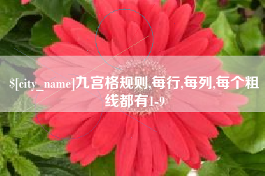 宜昌九宫格规则,每行,每列,每个粗线都有1-9